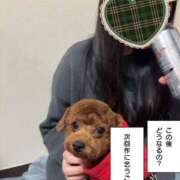 ヒメ日記 2026/01/15 23:17 投稿 小雪(こゆき) 土浦ハッピーマットパラダイス