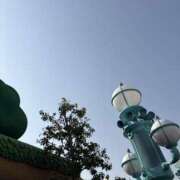 ヒメ日記 2026/01/16 07:37 投稿 小雪(こゆき) 土浦ハッピーマットパラダイス