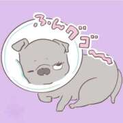 ヒメ日記 2026/01/28 06:37 投稿 小雪(こゆき) 土浦ハッピーマットパラダイス