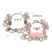 ヒメ日記 2026/02/04 23:47 投稿 小雪(こゆき) 土浦ハッピーマットパラダイス