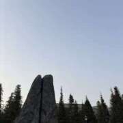 ヒメ日記 2026/02/08 07:47 投稿 小雪(こゆき) 土浦ハッピーマットパラダイス