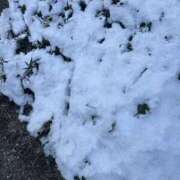 ヒメ日記 2026/02/09 07:43 投稿 小雪(こゆき) 土浦ハッピーマットパラダイス