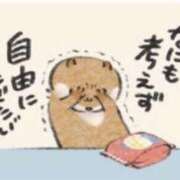 ヒメ日記 2026/02/10 22:27 投稿 小雪(こゆき) 土浦ハッピーマットパラダイス