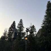 ヒメ日記 2026/02/11 07:37 投稿 小雪(こゆき) 土浦ハッピーマットパラダイス