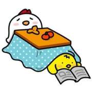 ヒメ日記 2026/02/12 08:27 投稿 小雪(こゆき) 土浦ハッピーマットパラダイス