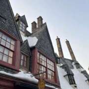 ヒメ日記 2026/02/18 07:47 投稿 小雪(こゆき) 土浦ハッピーマットパラダイス