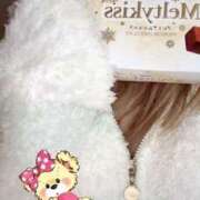 ヒメ日記 2026/02/19 08:17 投稿 小雪(こゆき) 土浦ハッピーマットパラダイス