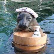 ヒメ日記 2026/02/19 22:47 投稿 小雪(こゆき) 土浦ハッピーマットパラダイス