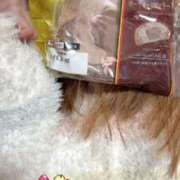 ヒメ日記 2026/02/20 22:17 投稿 小雪(こゆき) 土浦ハッピーマットパラダイス