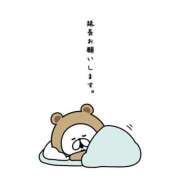 ヒメ日記 2026/02/27 09:07 投稿 小雪(こゆき) 土浦ハッピーマットパラダイス