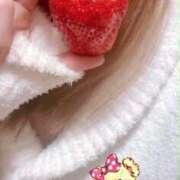 ヒメ日記 2026/02/28 10:47 投稿 小雪(こゆき) 土浦ハッピーマットパラダイス