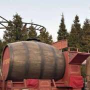 ヒメ日記 2026/03/04 07:37 投稿 小雪(こゆき) 土浦ハッピーマットパラダイス