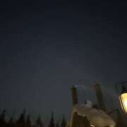ヒメ日記 2026/03/20 07:37 投稿 小雪(こゆき) 土浦ハッピーマットパラダイス