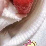 ヒメ日記 2026/03/28 09:47 投稿 小雪(こゆき) 土浦ハッピーマットパラダイス