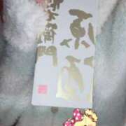 ヒメ日記 2026/03/31 09:57 投稿 小雪(こゆき) 土浦ハッピーマットパラダイス