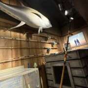 ヒメ日記 2026/04/05 07:47 投稿 小雪(こゆき) 土浦ハッピーマットパラダイス