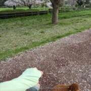 ヒメ日記 2026/04/12 23:17 投稿 小雪(こゆき) 土浦ハッピーマットパラダイス