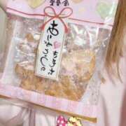 ヒメ日記 2026/04/14 08:47 投稿 小雪(こゆき) 土浦ハッピーマットパラダイス