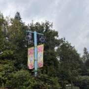 ヒメ日記 2026/04/17 07:47 投稿 小雪(こゆき) 土浦ハッピーマットパラダイス