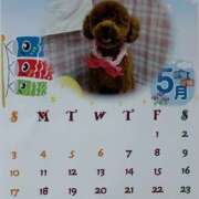 ヒメ日記 2026/04/28 21:57 投稿 小雪(こゆき) 土浦ハッピーマットパラダイス