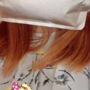 ヒメ日記 2026/04/29 12:27 投稿 小雪(こゆき) 土浦ハッピーマットパラダイス