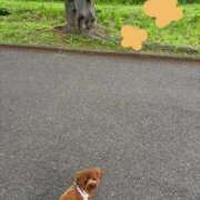 ヒメ日記 2026/04/29 23:27 投稿 小雪(こゆき) 土浦ハッピーマットパラダイス