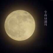 ヒメ日記 2026/06/01 00:47 投稿 小雪(こゆき) 土浦ハッピーマットパラダイス