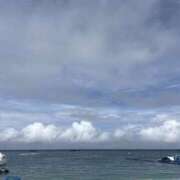 ヒメ日記 2026/07/11 07:37 投稿 小雪(こゆき) 土浦ハッピーマットパラダイス
