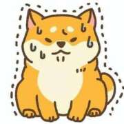 ヒメ日記 2026/07/16 08:09 投稿 小雪(こゆき) 土浦ハッピーマットパラダイス