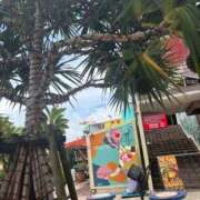 ヒメ日記 2026/07/19 07:49 投稿 小雪(こゆき) 土浦ハッピーマットパラダイス