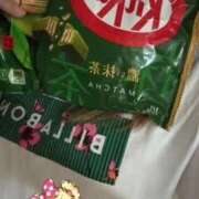 小雪(こゆき) 大好物ビールとチョコレート 土浦ハッピーマットパラダイス