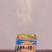 ヒメ日記 2026/09/11 20:57 投稿 小雪(こゆき) 土浦ハッピーマットパラダイス