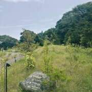 ヒメ日記 2026/09/12 07:37 投稿 小雪(こゆき) 土浦ハッピーマットパラダイス