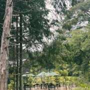 ヒメ日記 2026/09/13 07:37 投稿 小雪(こゆき) 土浦ハッピーマットパラダイス