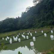 ヒメ日記 2026/09/24 07:47 投稿 小雪(こゆき) 土浦ハッピーマットパラダイス