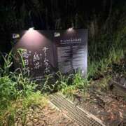 ヒメ日記 2026/10/04 07:47 投稿 小雪(こゆき) 土浦ハッピーマットパラダイス