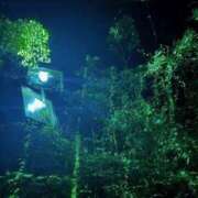 ヒメ日記 2026/10/05 07:47 投稿 小雪(こゆき) 土浦ハッピーマットパラダイス