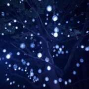 ヒメ日記 2026/10/09 07:42 投稿 小雪(こゆき) 土浦ハッピーマットパラダイス