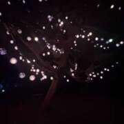 ヒメ日記 2026/10/14 07:37 投稿 小雪(こゆき) 土浦ハッピーマットパラダイス