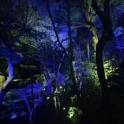 ヒメ日記 2026/10/20 07:37 投稿 小雪(こゆき) 土浦ハッピーマットパラダイス