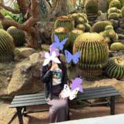 ヒメ日記 2025/05/16 23:32 投稿 天野りりか セレブショップ新宿（東京ハレ系）