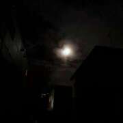 ヒメ日記 2026/04/15 22:56 投稿 桜坂きみか 言葉責めＭ性感イッツブーリー（横浜ハレ系）