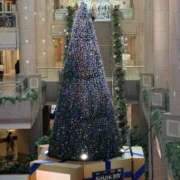 ヒメ日記 2024/12/25 05:47 投稿 上原まこと ミスターダンディー