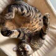 ヒメ日記 2025/01/09 12:38 投稿 上原まこと ミスターダンディー