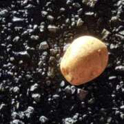 ヒメ日記 2025/04/03 13:01 投稿 上原まこと ミスターダンディー