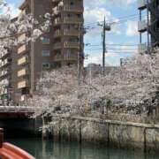 ヒメ日記 2025/04/04 13:36 投稿 上原まこと ミスターダンディー