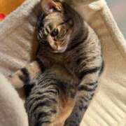 ヒメ日記 2025/04/19 13:29 投稿 上原まこと ミスターダンディー