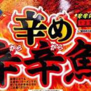 ヒメ日記 2025/04/26 12:23 投稿 上原まこと ミスターダンディー