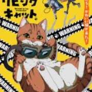 ヒメ日記 2025/07/01 17:13 投稿 上原まこと ミスターダンディー