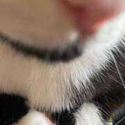 ヒメ日記 2025/07/11 17:53 投稿 上原まこと ミスターダンディー